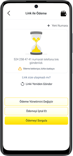 Link ile Ödeme Hizmeti